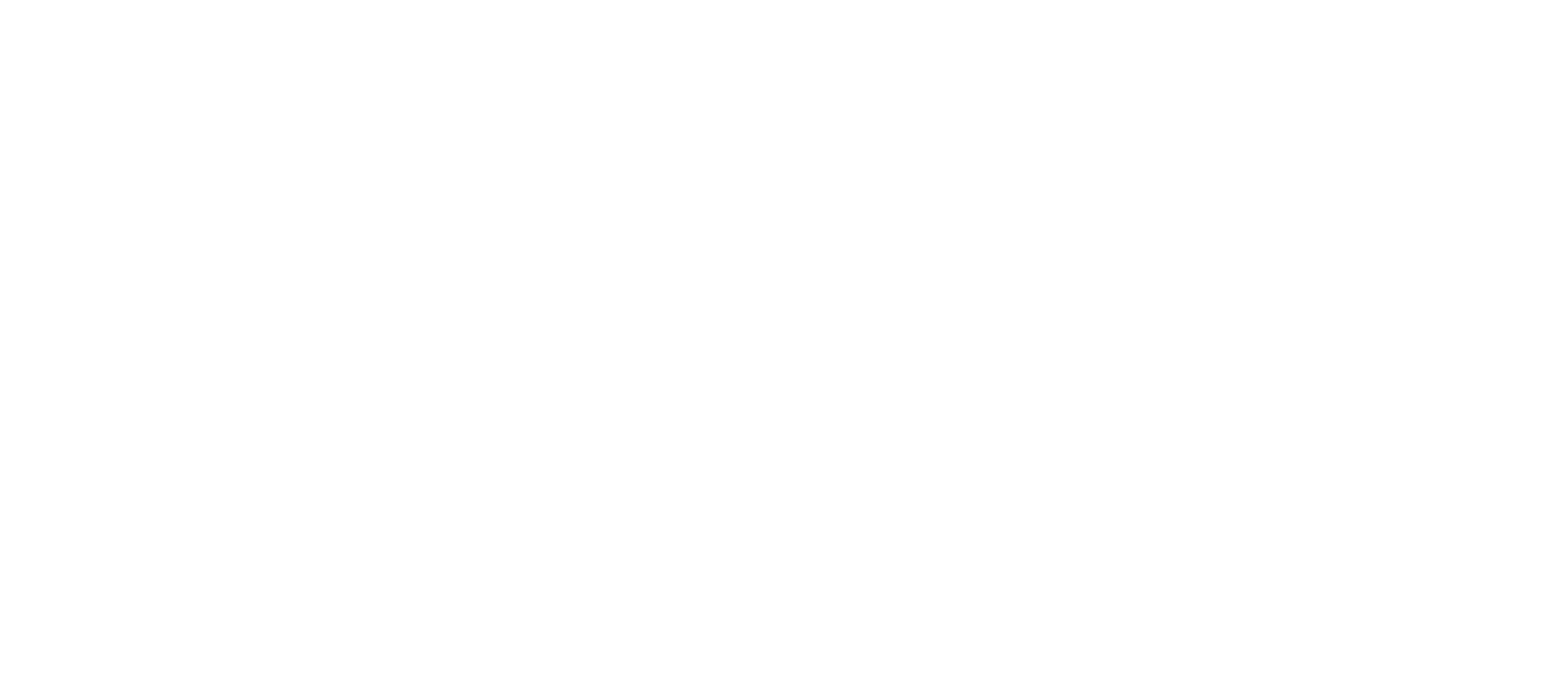 AYK Logo white